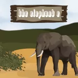 The Elephant E The Elephant E