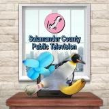 Salamander County Public Television PS4 and PS5