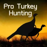 Pro Turkey Hunting Pro Turkey Hunting