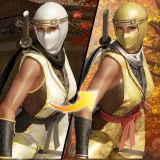 DOA6 Morphing Ninja Costume - La Mariposa