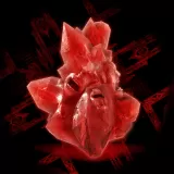 Devil May Cry 4 Special Edition - Red Orbs (300,000)