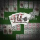 THE Card Perfect Collection Plus: Texas Hold 