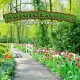 Nature Escapes Collector