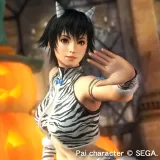 Pai Halloween 2014 Costume