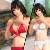 DOA5LR Zack Island Swimwear - Naotora Ii