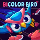 Bicolor Bird
