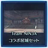 Team Ninja Collaboration Residence Set
