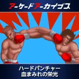 Arcade Archives THE Final Round