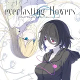 everlasting flowers everlasting flowers