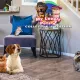 My Lovely Pets 2 Collector