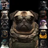 Mortar Master Avatar Bundle