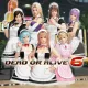 【復刻】DOA6 天使すぎるメイドコスチューム  セット