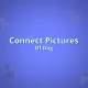 Connect Pictures Of Dog