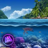 AAA Dynamic Scenes - Coral Kingdom Dynamic Scene