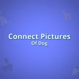 Connect Pictures Of Dog