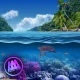 AAA Dynamic Scenes - Coral Kingdom Dynamic Scene