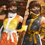 DOA6 変身！Ninjaコスチューム レイファン