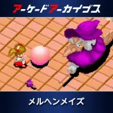 Arcade Archives Marchen Maze