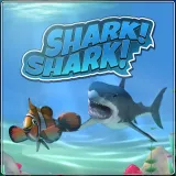 Shark! Shark!
