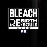 Bleach Rebirth of Souls - Season Pass