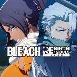 Bleach Rebirth of Souls - Thousand-Year Blood War Toshiro Hitsugaya & Yoruichi Shihoin Costume Set