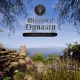 Medieval Dynasty - Echoes of Nature