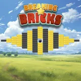 Breaking Bricks Breaking Bricks