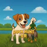 Duck Hunt VR