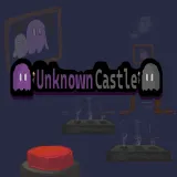 Unknown Castle