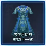 Male Equipment: Paladin Set