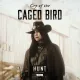 Hunt: Showdown 1896 - Cry of the Caged Bird (English/Chinese/Korean/Japanese Ver.)