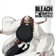 Bleach Rebirth of Souls - Ichibe Hyosube