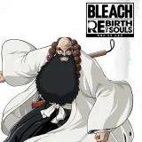 Bleach Rebirth of Souls - Ichibe Hyosube