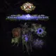 Path of Exile: Supreme Verdant Magus Supporter Pack