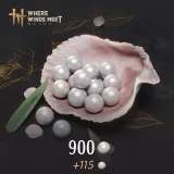 Where Winds Meet - 900 Echo Beads