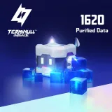 Terminull Brigade - 1620 Purified Data