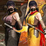 DOA6 変身！Ninjaコスチューム 女天狗
