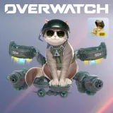 Overwatch Starter Pack 2026: Season 1