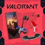 Valorant X PS+ Bundle