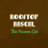 Rooftop Rascal: The Farmer Cat