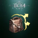Inventory Expansion(1)