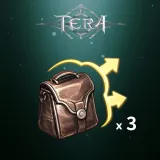 Inventory Expansion(3)