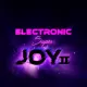 Electronic Super Joy 2