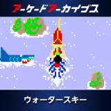 アーケードアーカイブス　ウォータースキー