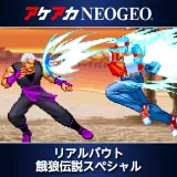 アケアカNeogeo リアルバウト餓狼伝説スペシャル