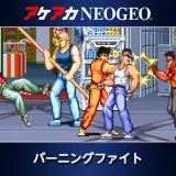 アケアカNeogeo バーニングファイト