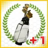 Everybody’s Golf Custom Club Set 2