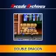 Arcade Archives Double Dragon