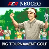 Aca Neogeo Big Tournament Golf