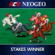 Aca Neogeo Stakes Winner